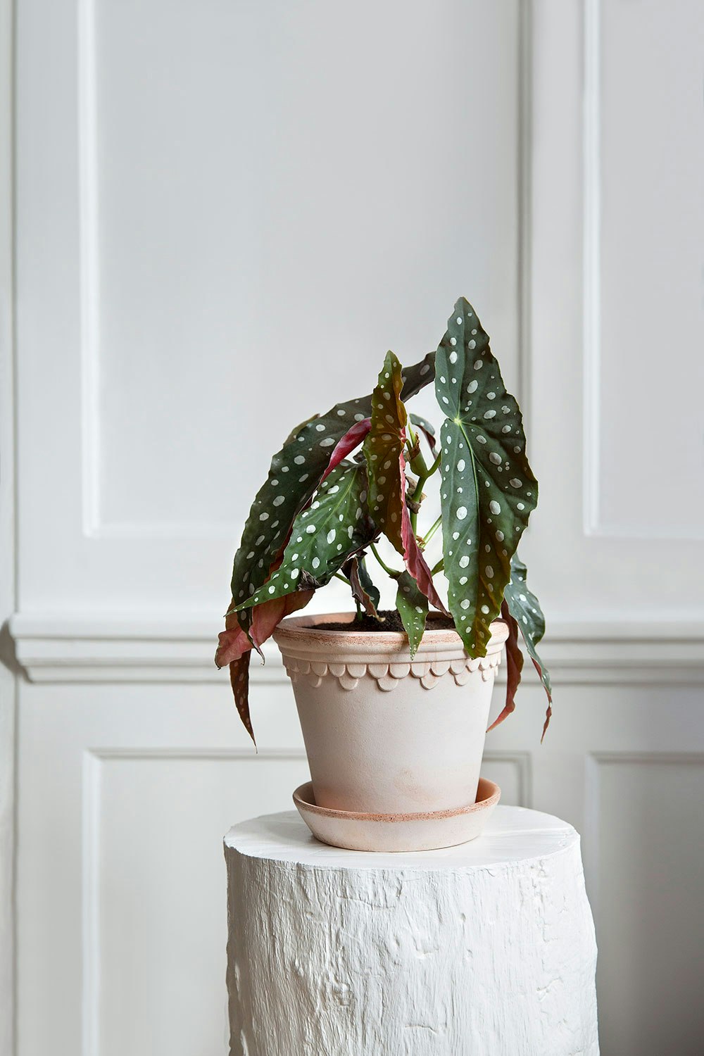 Bergs Potter Copenhagen Pot Pink, 14 Cm