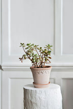 Bergs Potter Copenhagen Pot Pink, 14 Cm