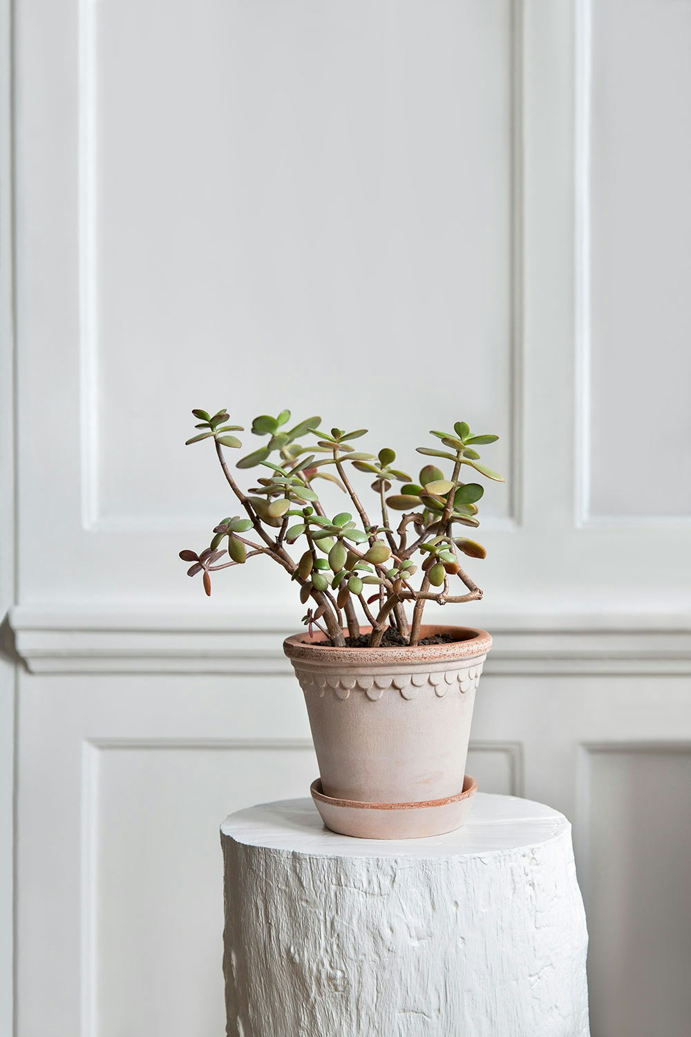 Bergs Potter Copenhagen Pot Pink, 16 Cm