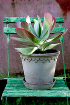 Bergs Potter Copenhagen Topf Grau, 21 Cm