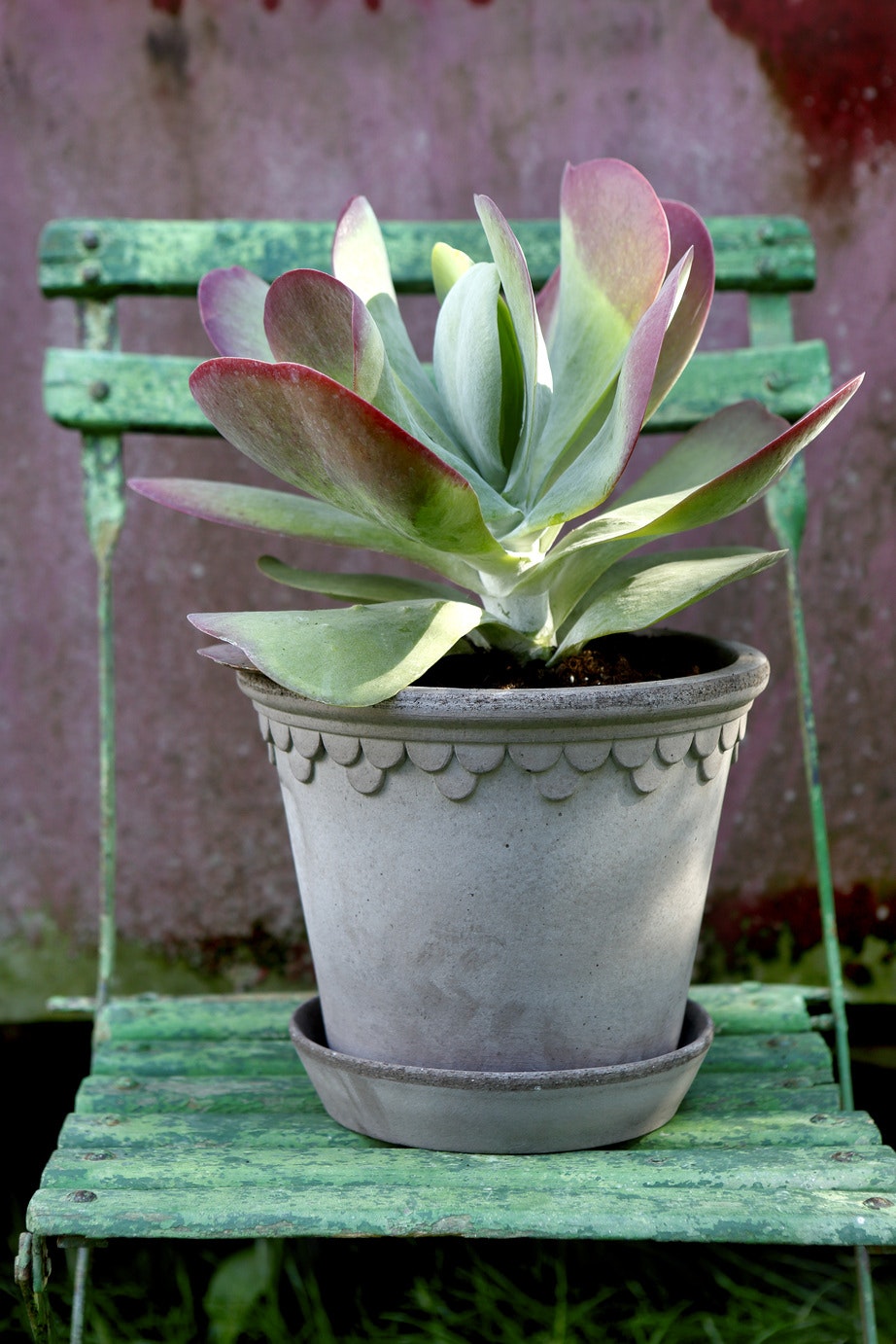 Bergs Potter Copenhagen Topf Grau, 21 Cm