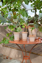 Bergs Potter Copenhagen Topf Rosa, 21 Cm