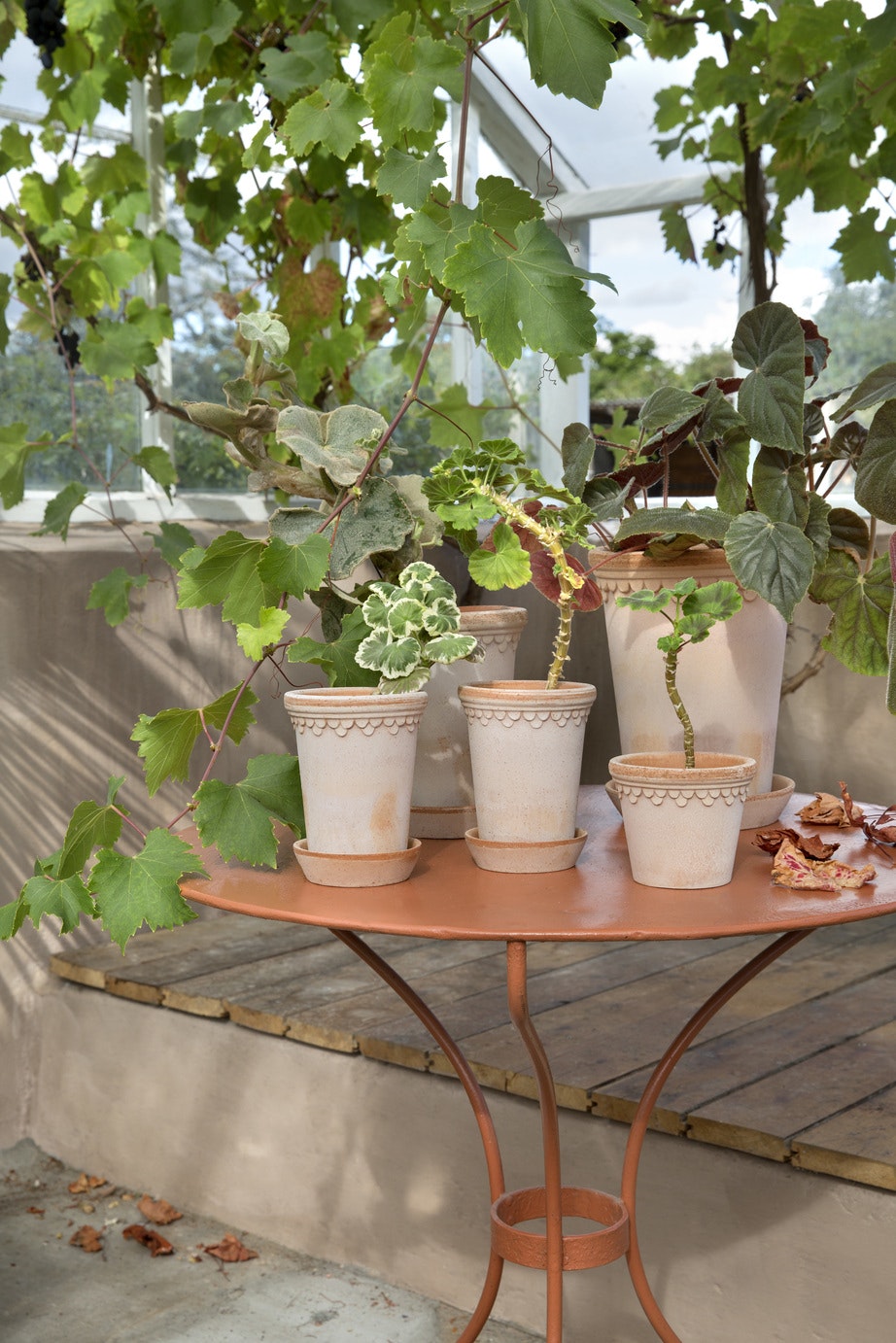 Bergs Potter Copenhagen Topf Rosa, 21 Cm