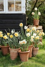 Bergs Potter Emilia Topf Rosa, 25 Cm