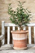 Bergs Potter Emilia Topf Rosa, 21 Cm