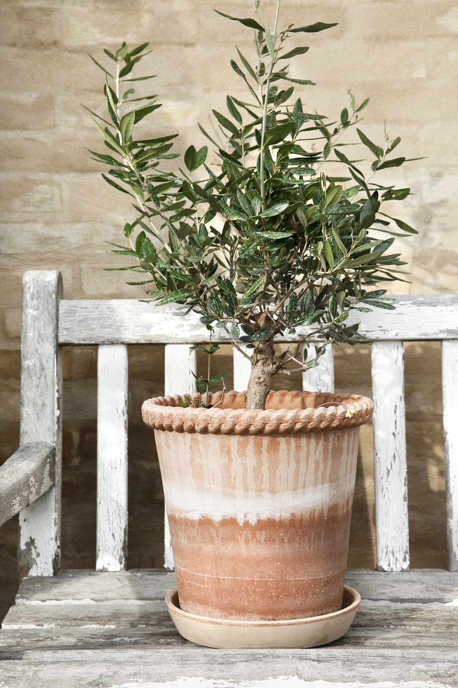 Bergs Potter Emilia Topf Rosa, 21 Cm