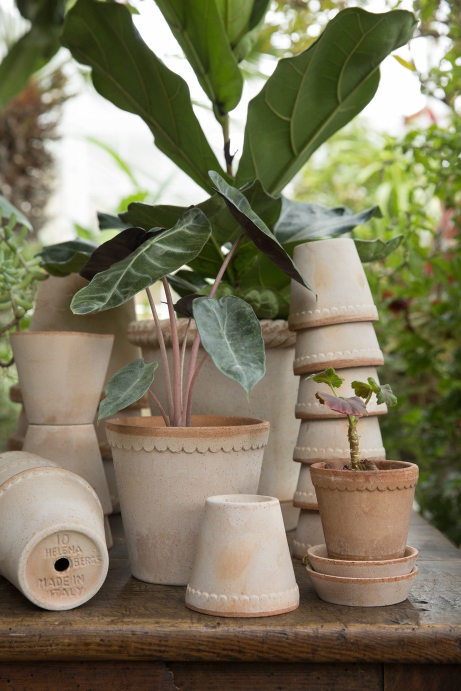 Bergs Potter Helena Topf Rosa, 25 Cm