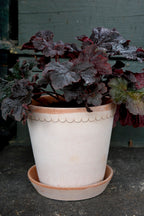 Bergs Potter Helena Topf Rosa, 25 Cm