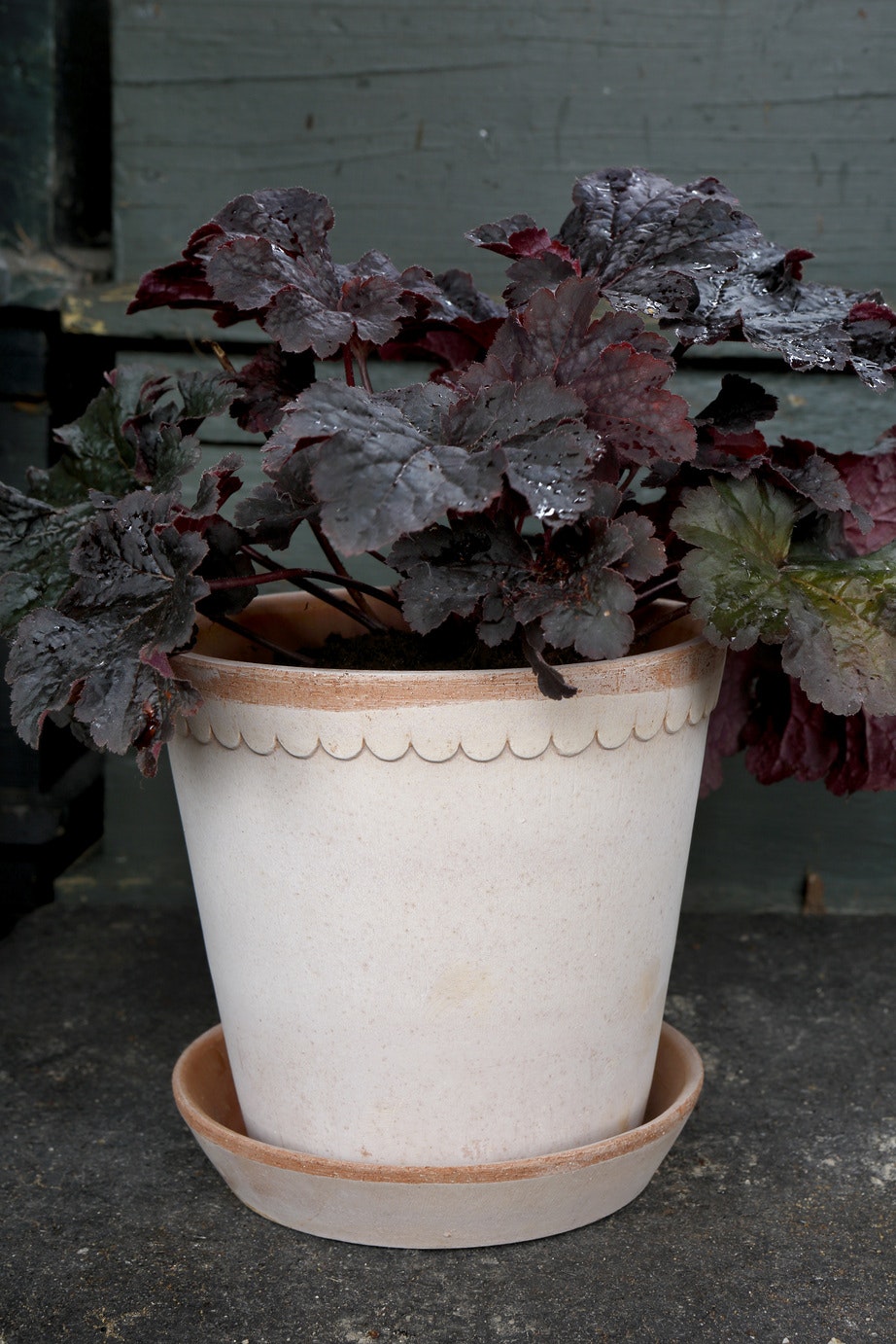 Bergs Potter Helena Topf Rosa, 25 Cm