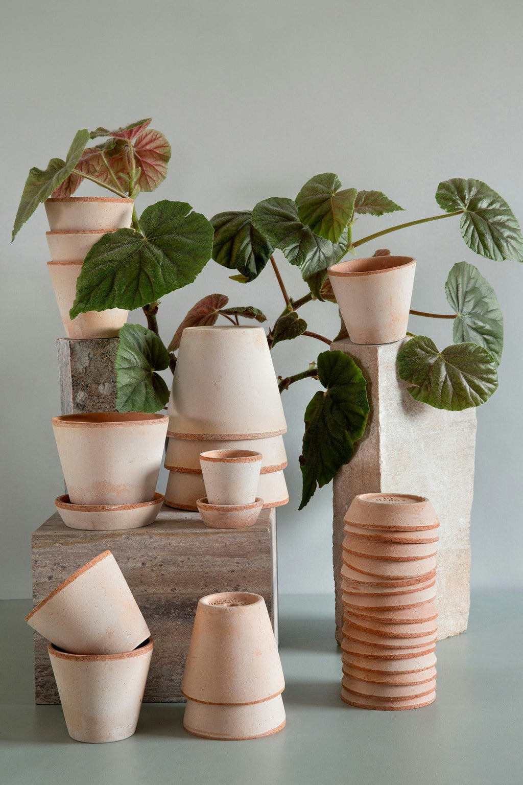 Bergs Potter Julie Topf Mit Unterteller Rosa Ø25 Cm