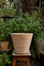 Bergs Potter Julie Topf Mit Unterteller Rosa Ø40 Cm