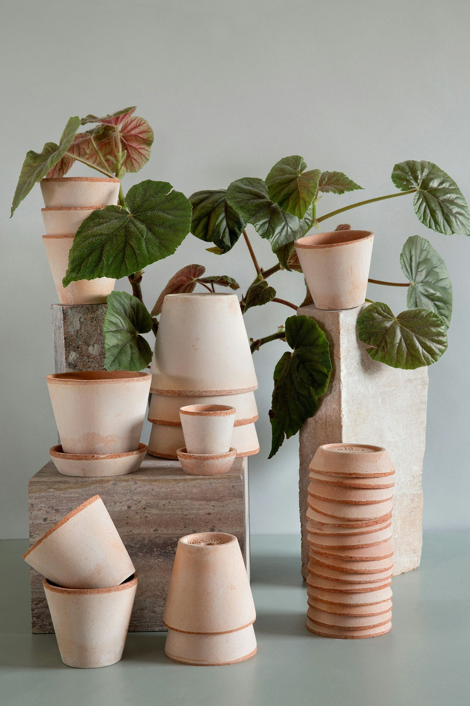 Bergs Potter Julie Topf Mit Unterteller Rosa Ø8 Cm