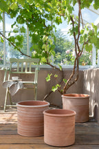 Bergs Potter Modena Topf Rosa Ø40 Cm