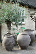 Bergs Potter Olivia Topf Ø54 Cm