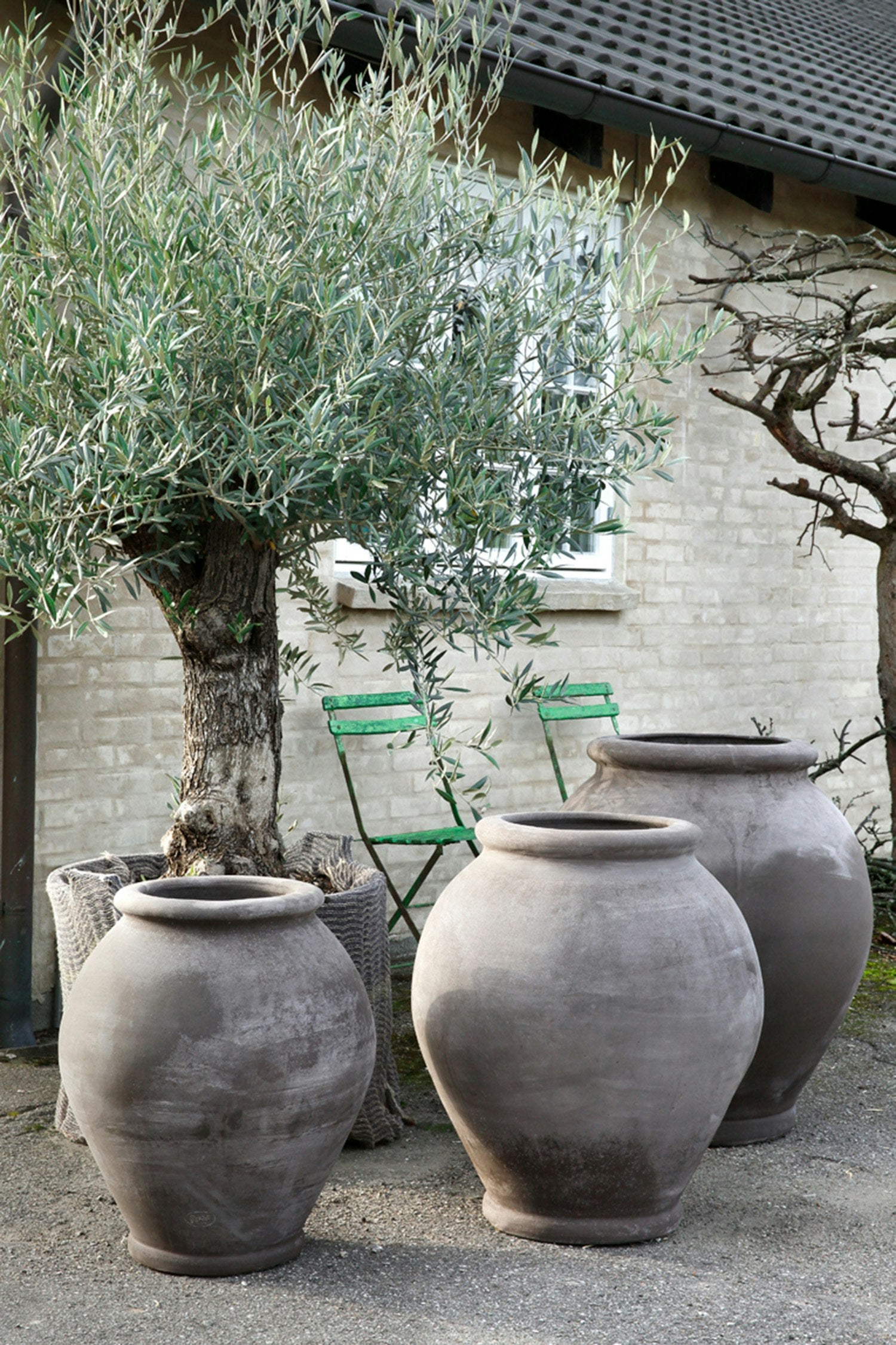 Bergs Potter Olivia Topf Ø54 Cm