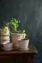 Bergs Potter Planet Topf Mit Unterteller Rosa Ø14 Cm