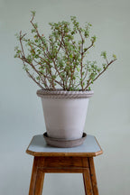 Bergs Potter Emilia Topf Grau, 30 Cm