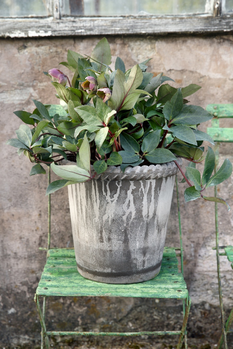 Bergs Potter Emilia Topf Grau, 30 Cm