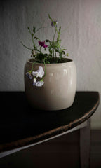 Ernst Topf Glasiert Steingut Ø19,5 Cm, Beige