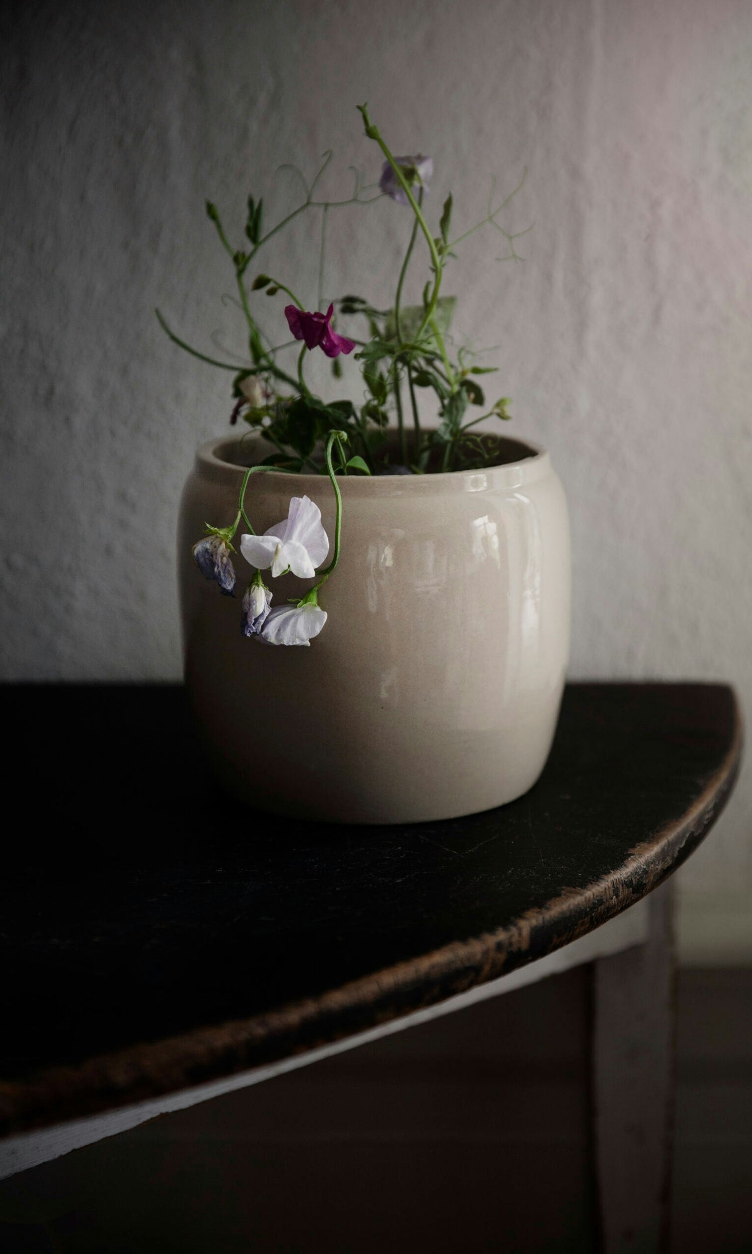 Ernst Topf Glasiert Steingut Ø17,5 Cm, Beige