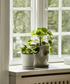 Hay Flowerpot Topf Mit Unterteller Grau, Ø21.5 Cm XL