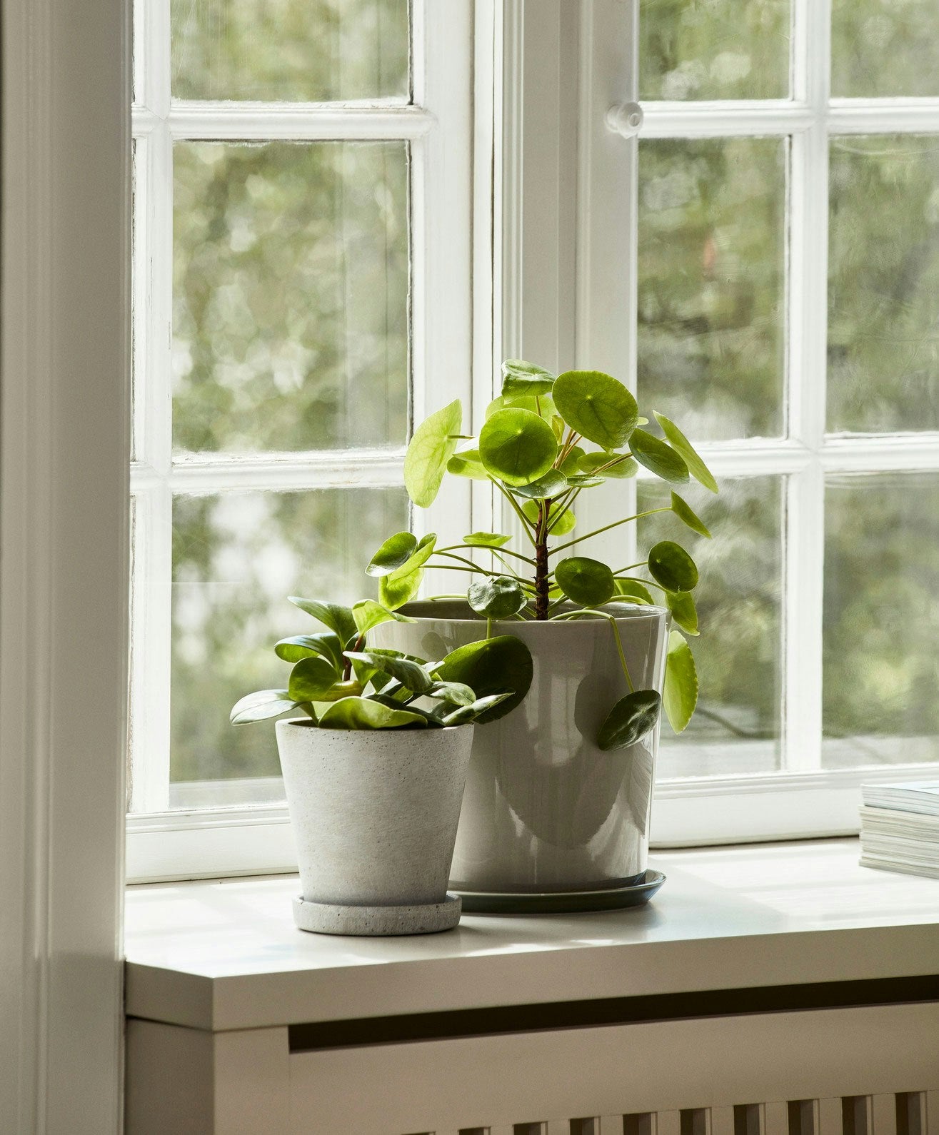Hay Flowerpot Topf Mit Unterteller Grau, Ø11 Cm S