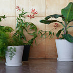 Hay Flowerpot Topf Mit Unterteller Grau, Ø11 Cm S