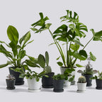 Hay Flowerpot Topf Mit Unterteller Grau, Ø21.5 Cm XL
