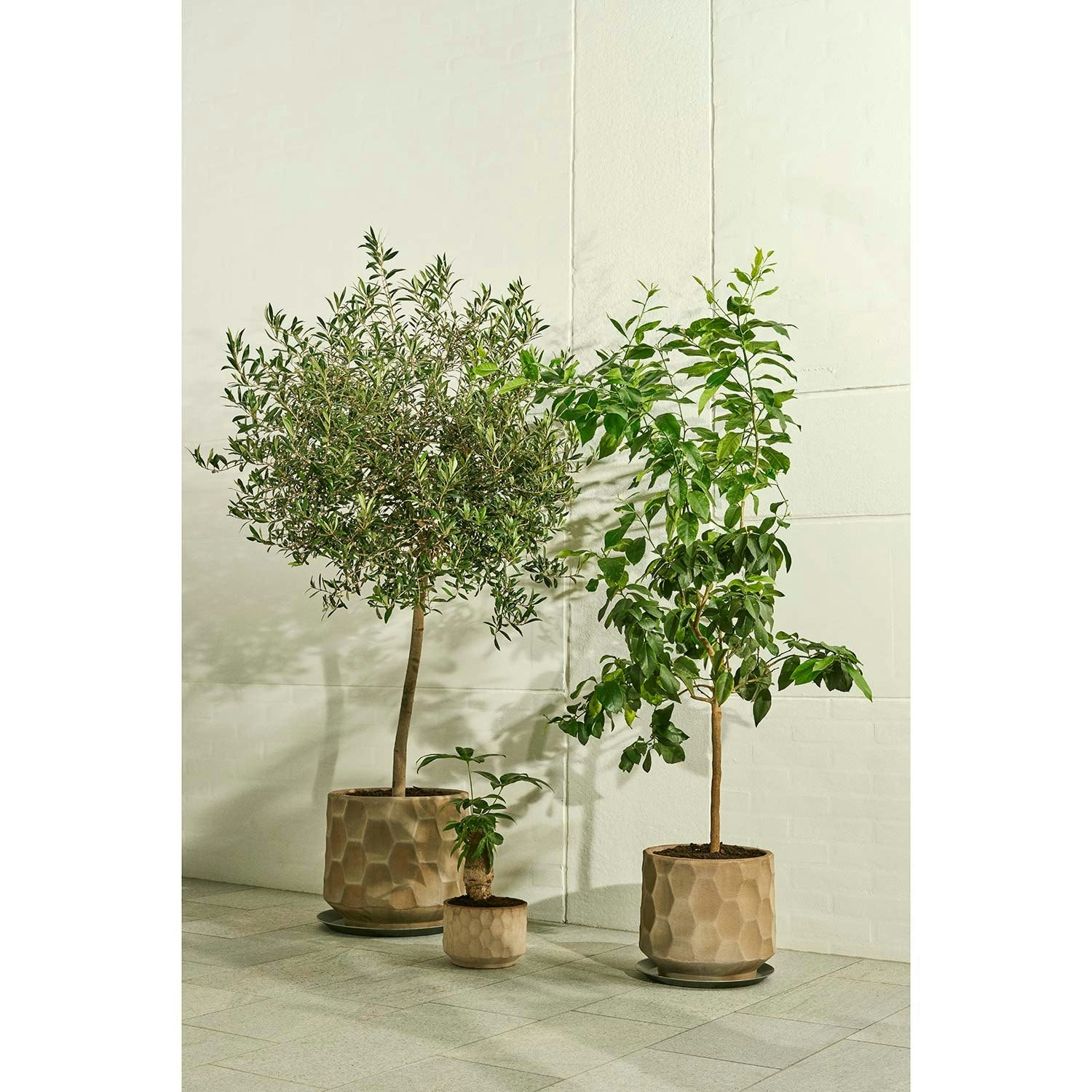 Kähler Grow Blumentopf, Hellsand/ Ø21,5 Cm
