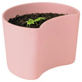 RIG TIG Your Tree Abbaubarer Topf Mit Samen, Rosa