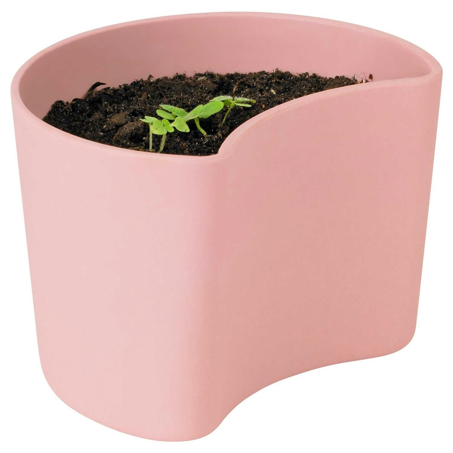 RIG TIG Your Tree Abbaubarer Topf Mit Samen, Rosa