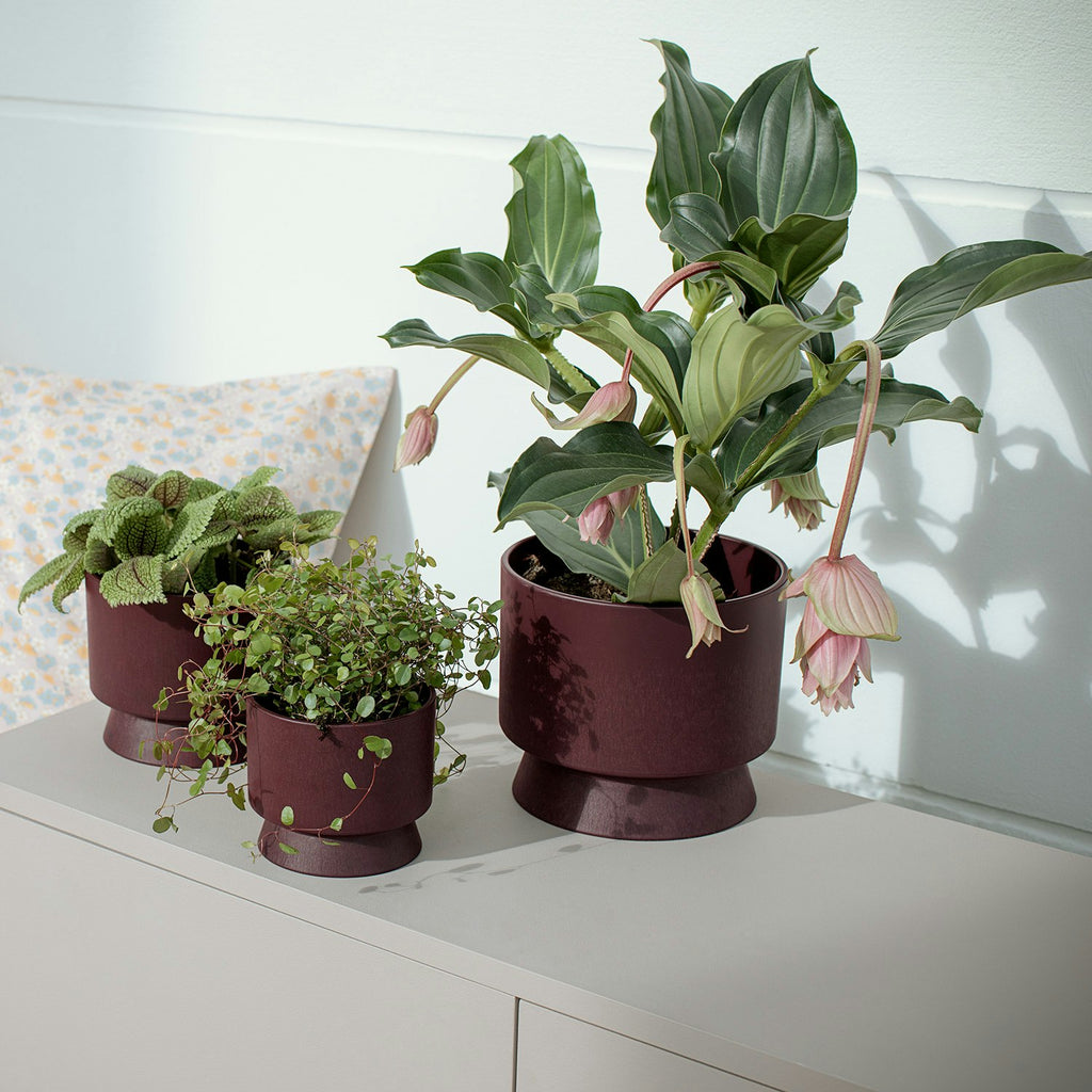  Ro Topf Bordeaux, 15 Cm