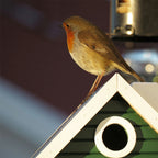  Multiholk Green Cottage