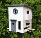  Multiholk Functional House