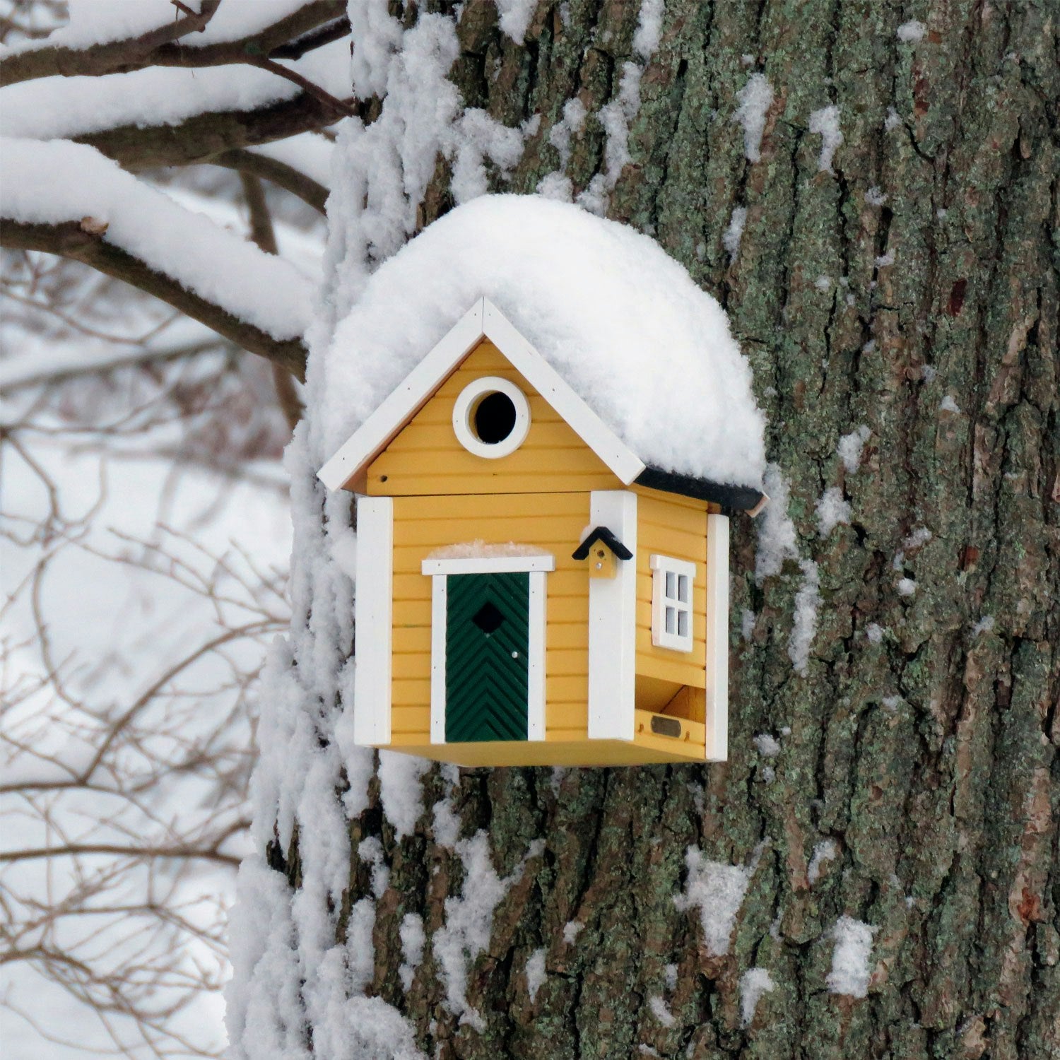  Multiholk Yellow Cottage