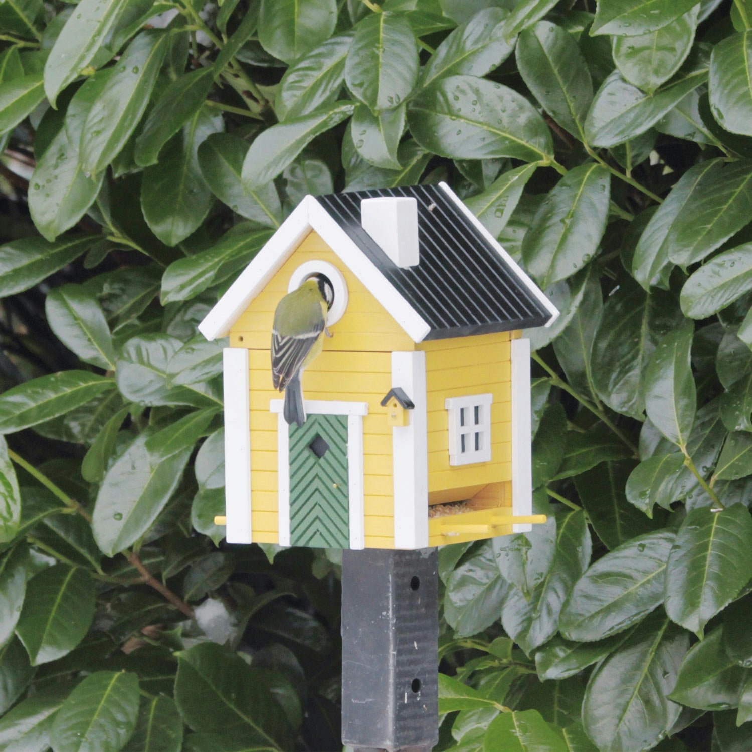  Multiholk Yellow Cottage